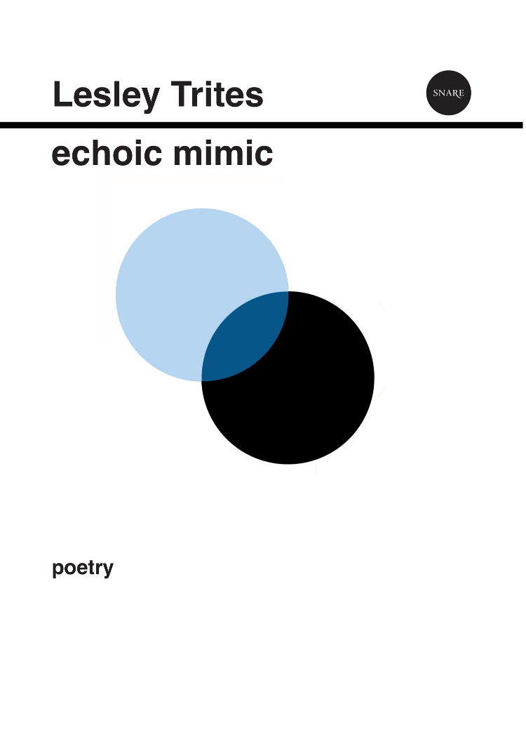 Echomimic-cover