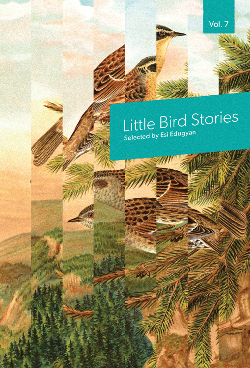 Cover: Little Bird Stories Volume 7